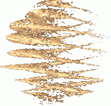 Cinema 4D
