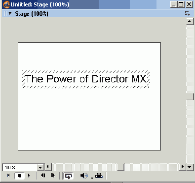 Macromedia Director MX -  
