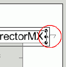 Macromedia Director MX -  
