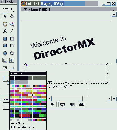 Macromedia Director MX -  
