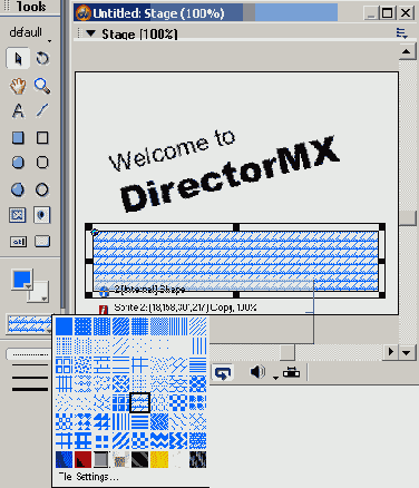 Macromedia Director MX -  
