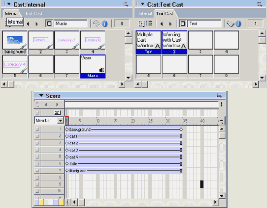 Macromedia Director MX -  
