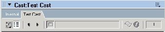 Macromedia Director MX -  
