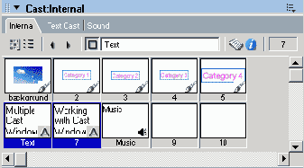 Macromedia Director MX -  
