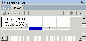 Macromedia Director MX -  
