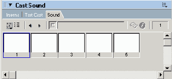 Macromedia Director MX -  
