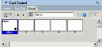 Macromedia Director MX -  
