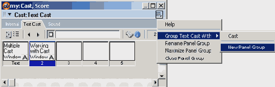 Macromedia Director MX -  
