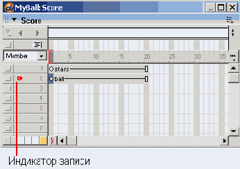 Macromedia Director MX -  
