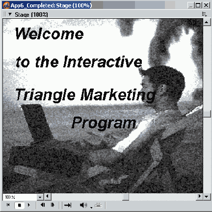 Macromedia Director MX -  
