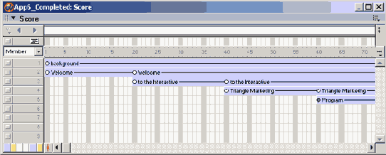 Macromedia Director MX -  
