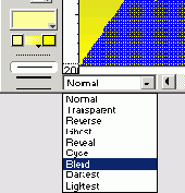 Macromedia Director MX -  
