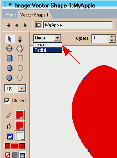 Macromedia Director MX -  
