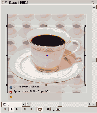 Macromedia Director MX -  
