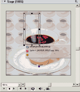Macromedia Director MX -  
