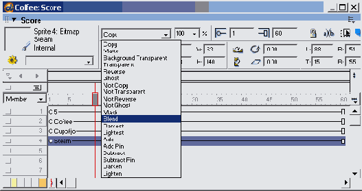 Macromedia Director MX -  
