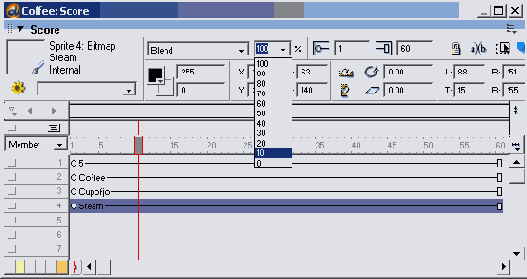 Macromedia Director MX -  
