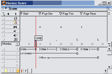 Macromedia Director MX -  
