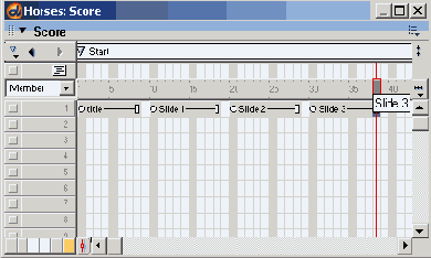 Macromedia Director MX -  
