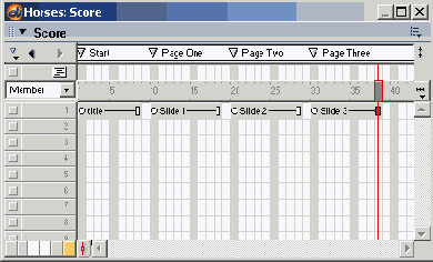 Macromedia Director MX -  
