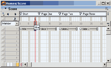 Macromedia Director MX -  
