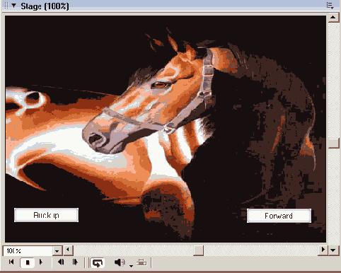 Macromedia Director MX -  
