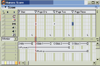 Macromedia Director MX -  
