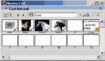 Macromedia Director MX -  
