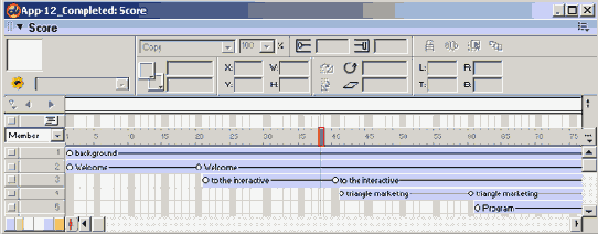 Macromedia Director MX -  
