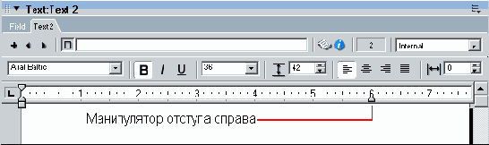 Macromedia Director MX -  
