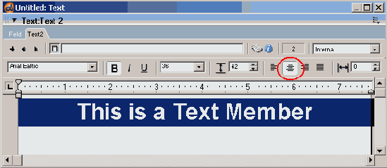 Macromedia Director MX -  
