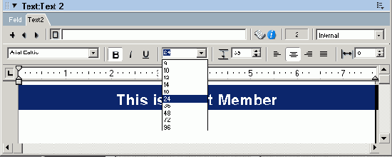 Macromedia Director MX -  

