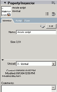 Director MX