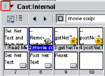 Director MX
