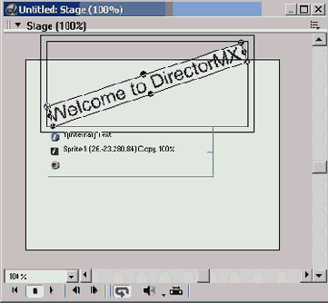 Director MX