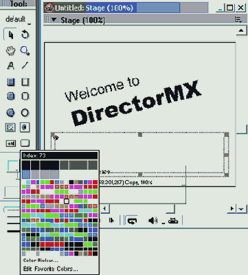 Director MX