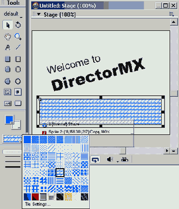 Director MX