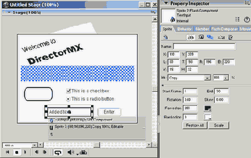 Director MX