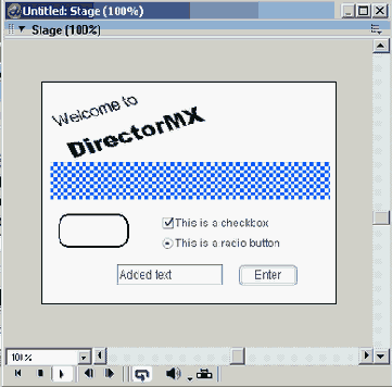 Director MX