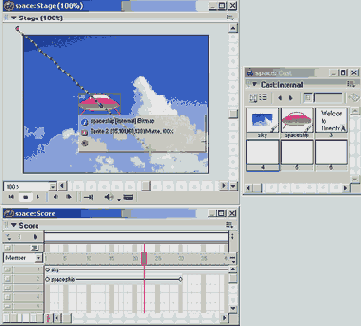 Director MX