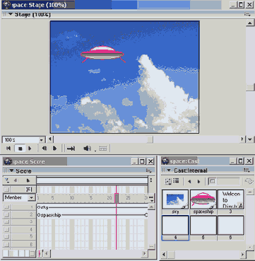 Director MX
