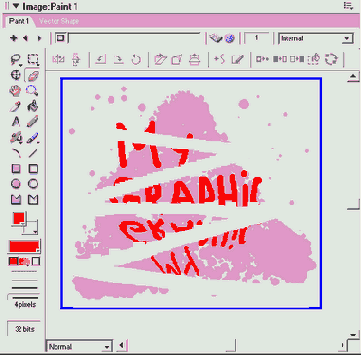 Director MX