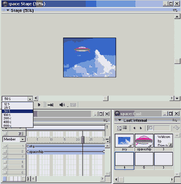 Director MX