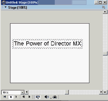 Director MX