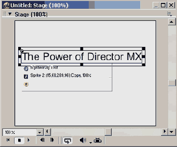 Director MX