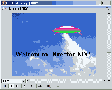    Director MX

