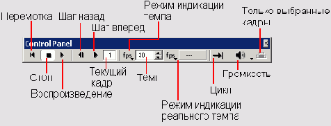    Director MX
