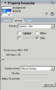    Director MX
