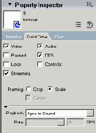 Macromedia Director MX -  
