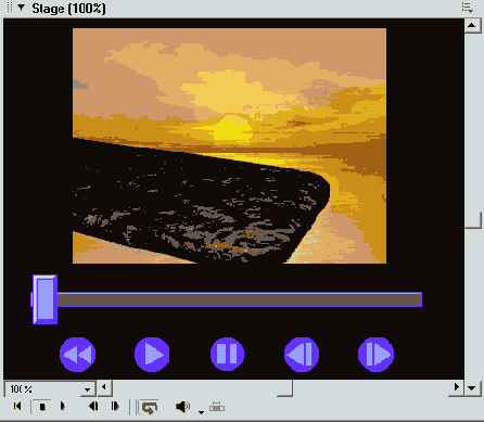 Macromedia Director MX -  
